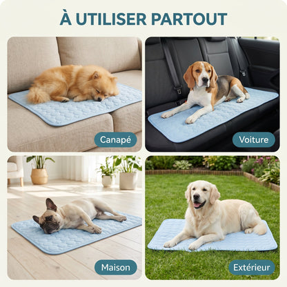 Tapis Rafraîchissant Pour Chien Sans Gel Et Fibre Ice-Silk - Nichette