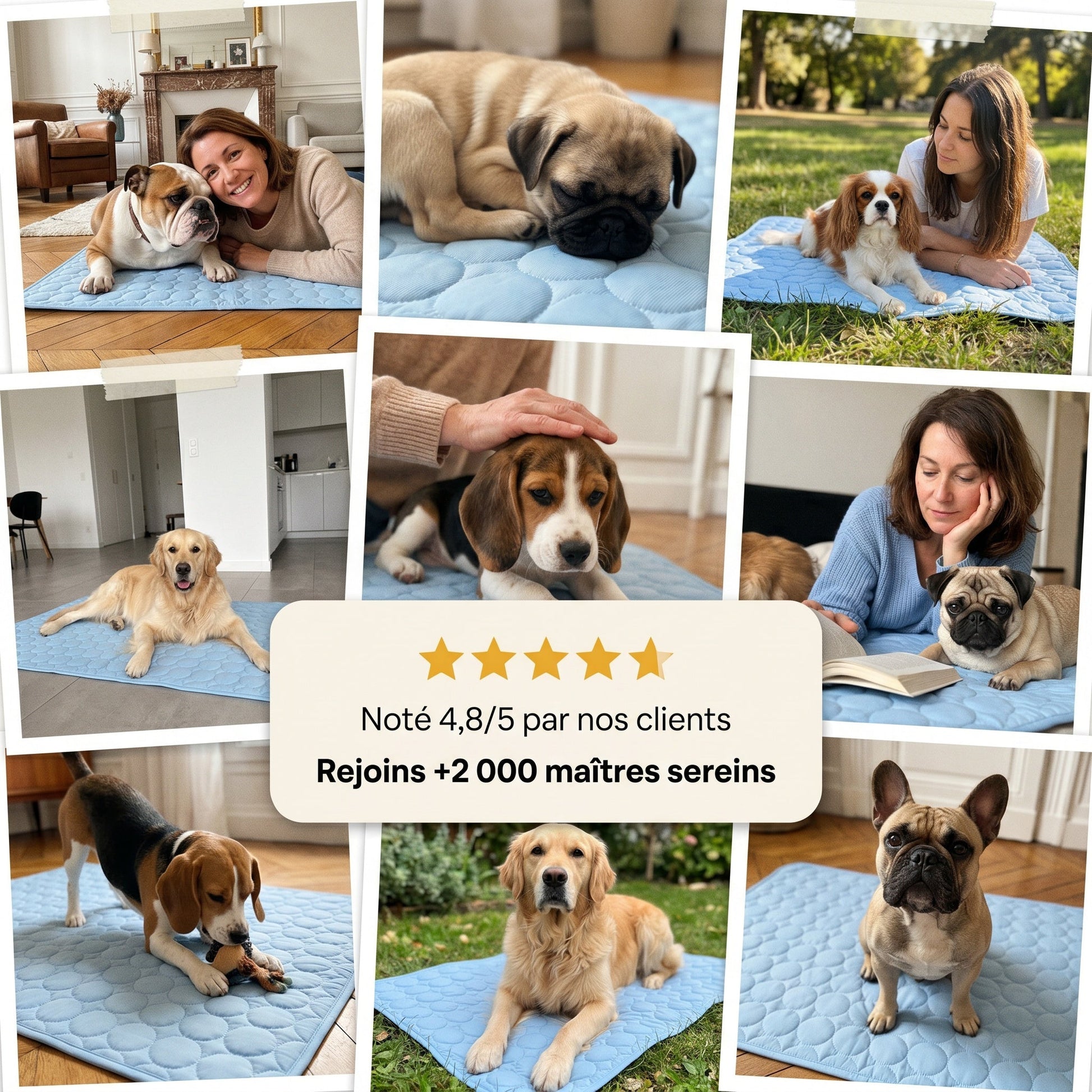 Tapis Rafraîchissant Pour Chien Sans Gel Et Fibre Ice-Silk - Nichette
