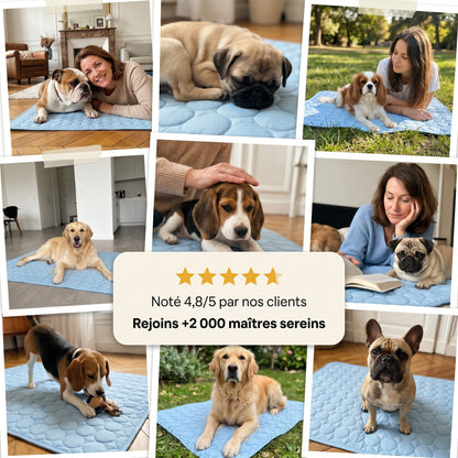 Tapis Rafraîchissant Pour Chien Sans Gel Et Fibre Ice-Silk - Nichette