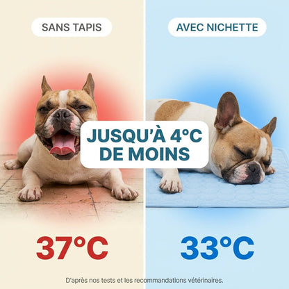 Tapis Rafraîchissant Pour Chien Sans Gel Et Fibre Ice-Silk - Nichette