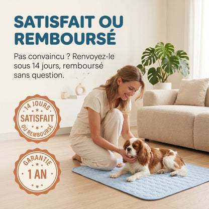 Tapis Rafraîchissant Pour Chien Sans Gel Et Fibre Ice-Silk - Nichette