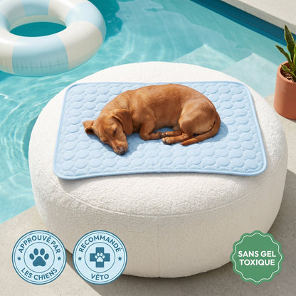 Tapis Rafraîchissant Pour Chien Sans Gel Et Fibre Ice-Silk - Nichette