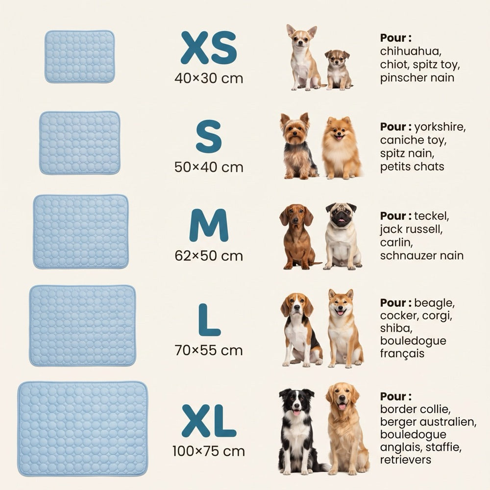 Guide des tailles — quelle taille de tapis rafraîchissant pour votre chien (S, M, L, XL)